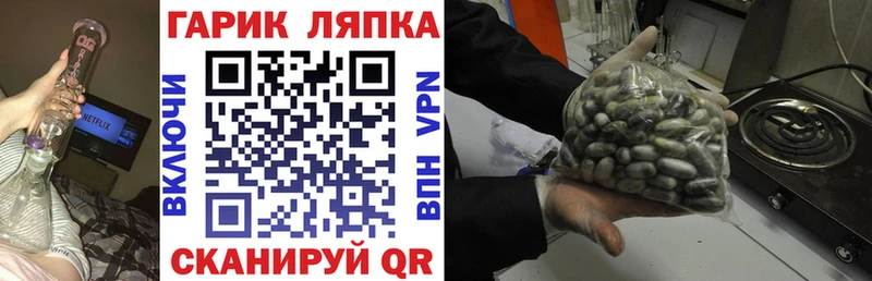 закладка  Лебедянь  ГАШИШ Ice-O-Lator 