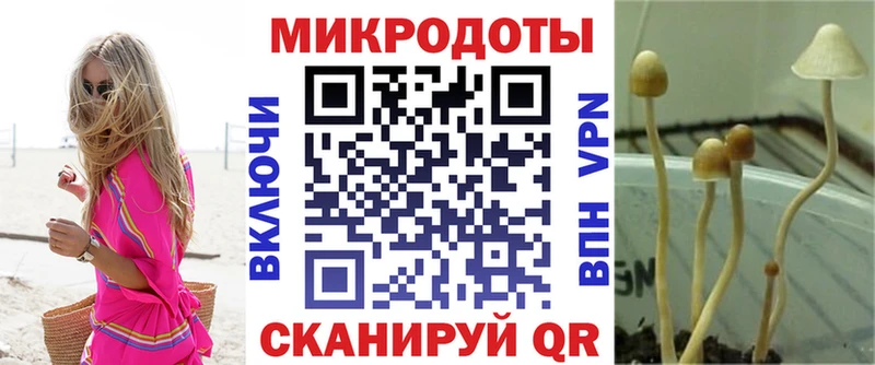 Псилоцибиновые грибы мухоморы Лебедянь